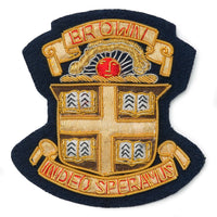 Brown University blazer badge in gold and black with university emblem, mounted on a dark blue background by Benson & Clegg.