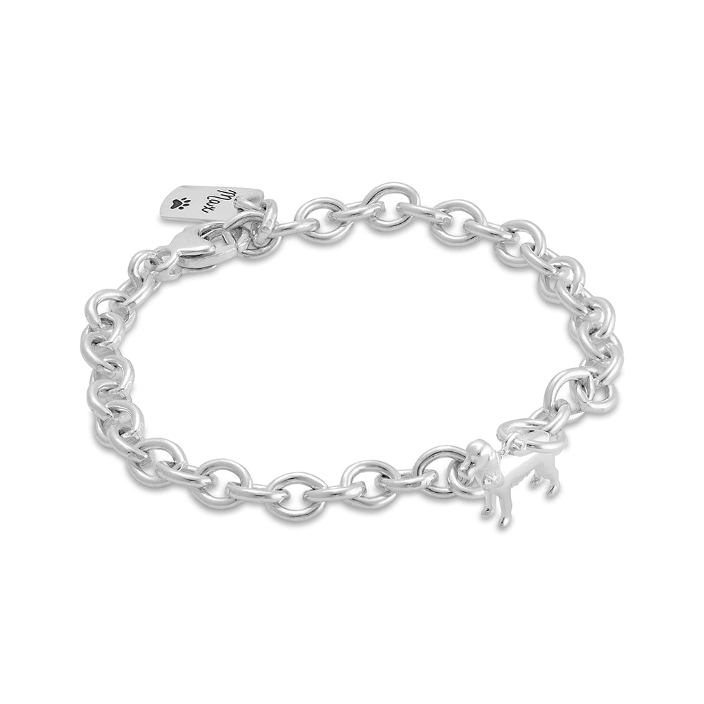 Silver English Cocker Spaniel dog charm bracelet by Scarlett Jewellery displayed on a white background with detailed engravin