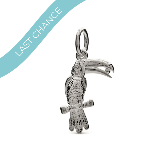 Silver toucan parrot charm with detailed feather texture by Scarlett Jewellery.