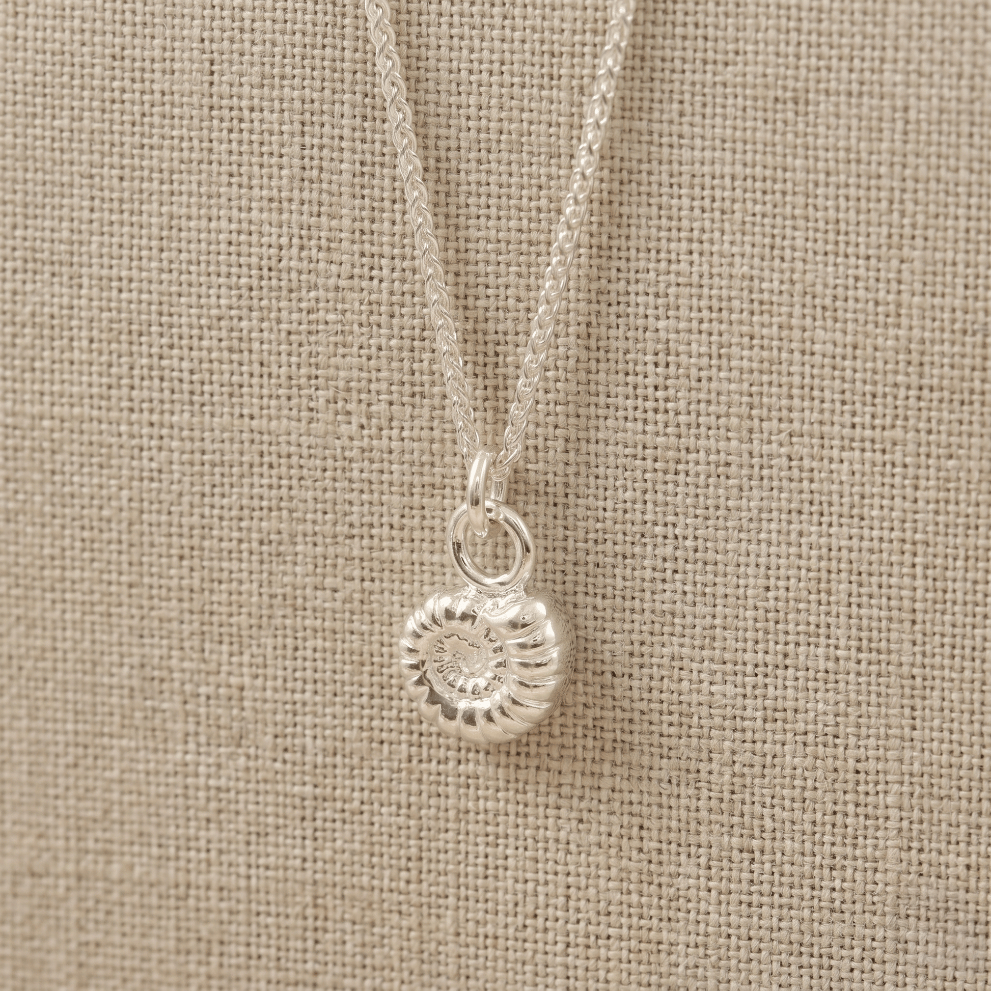 Ammonite Fossil Silver Charm