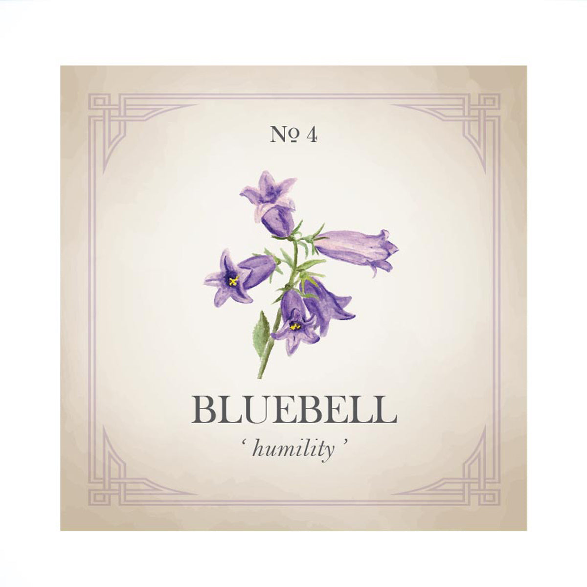Bluebell Silver Charm Bracelet Scarlett Jewellery