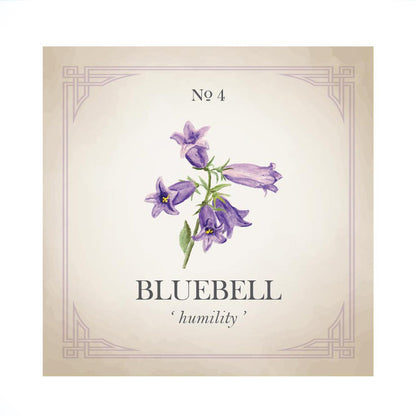 Bluebell Silver Charm Bracelet Scarlett Jewellery