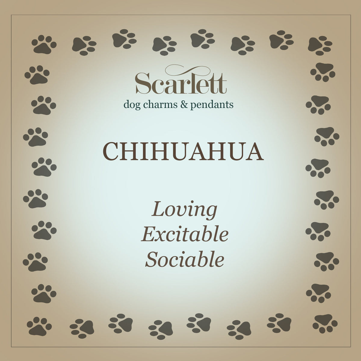 Chihuahua Silver Dog Charm Bracelet Scarlett Jewellery