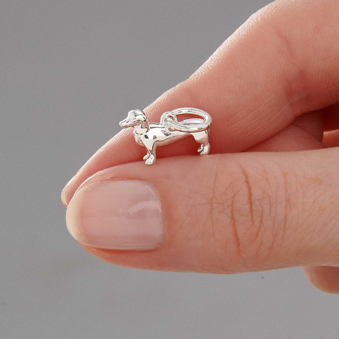 Dachshund Silver Dog Charm Scarlett Jewellery