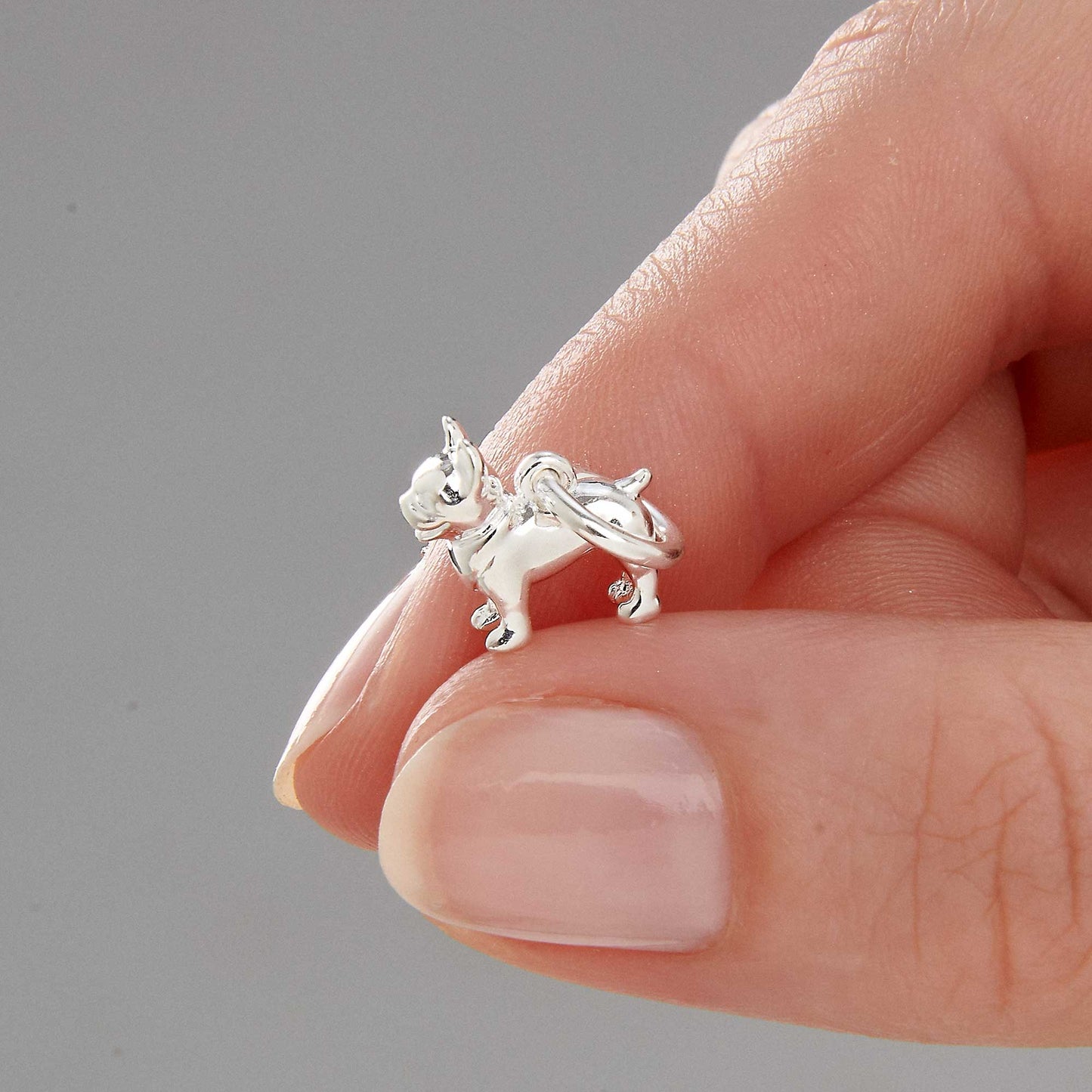 French Bulldog Silver Dog Charm Scarlett Jewellery