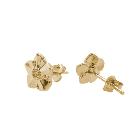 Forget-Me-Not Gold Vermeil Silver Studs Scarlett Jewellery