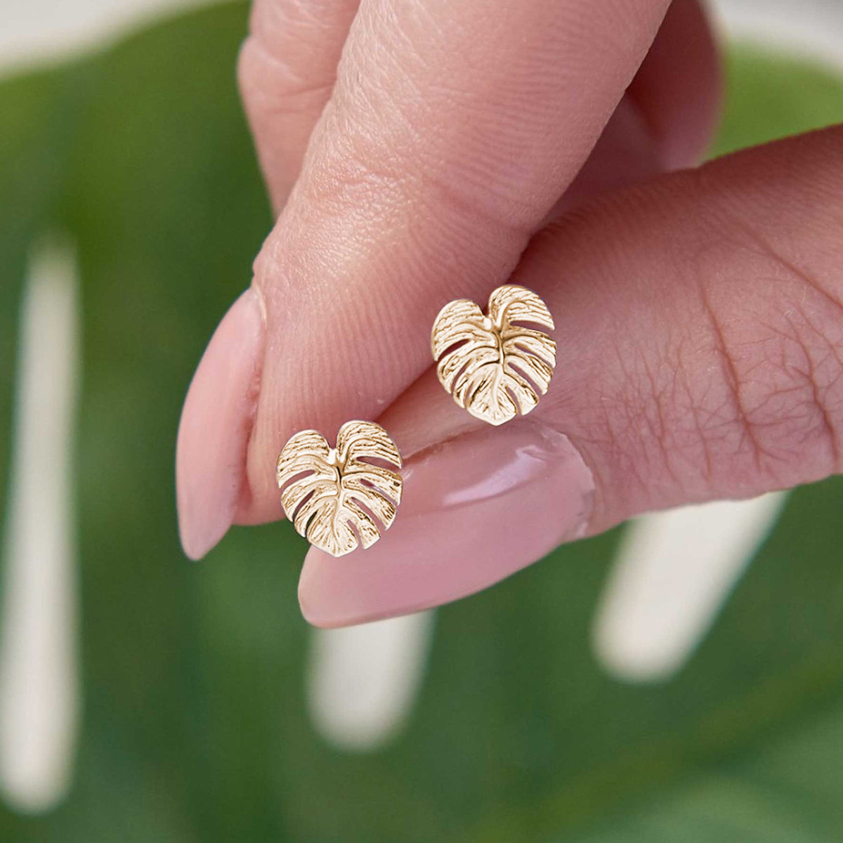 Monstera Palm Leaf Gold Vermeil Stud Earrings Scarlett Jewellery