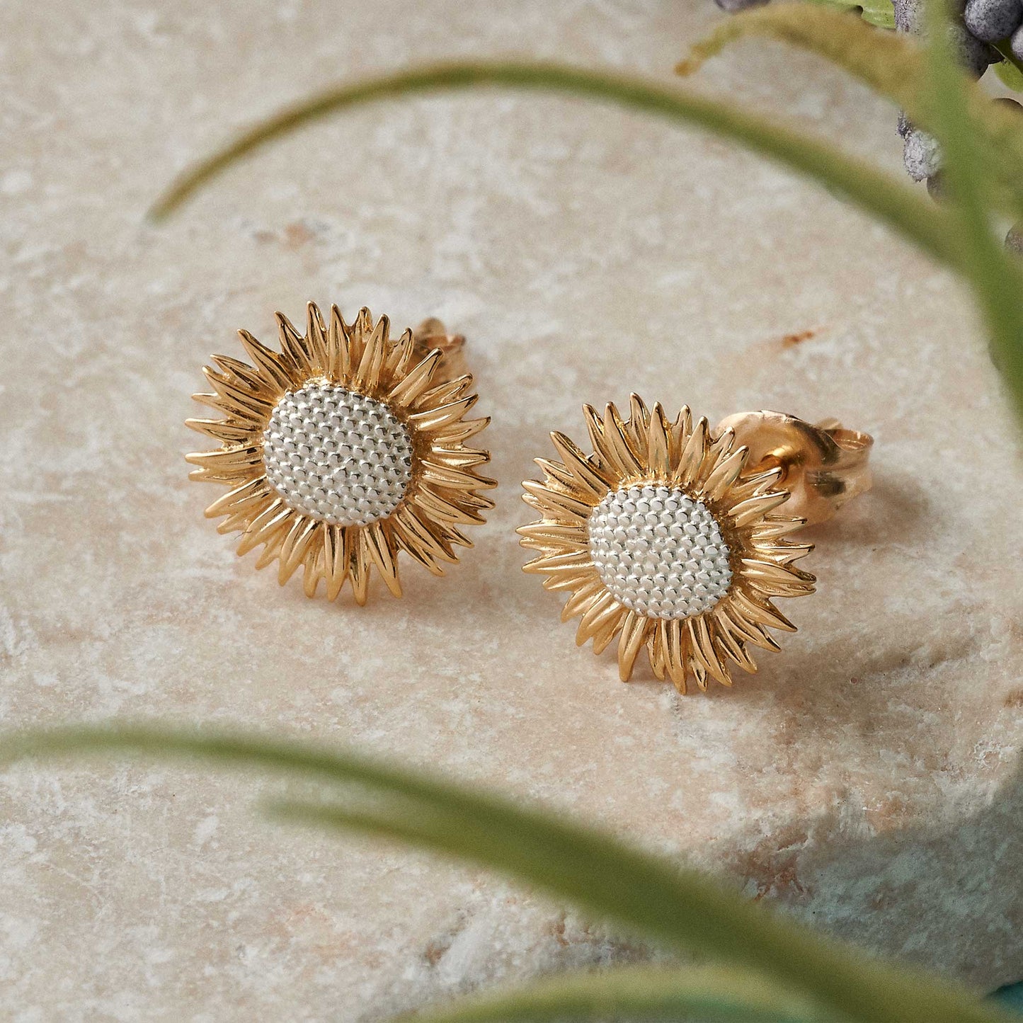 Sunflower silver and gold vermeil stud earrings by Scarlett Jewellery displayed in a polished gift box