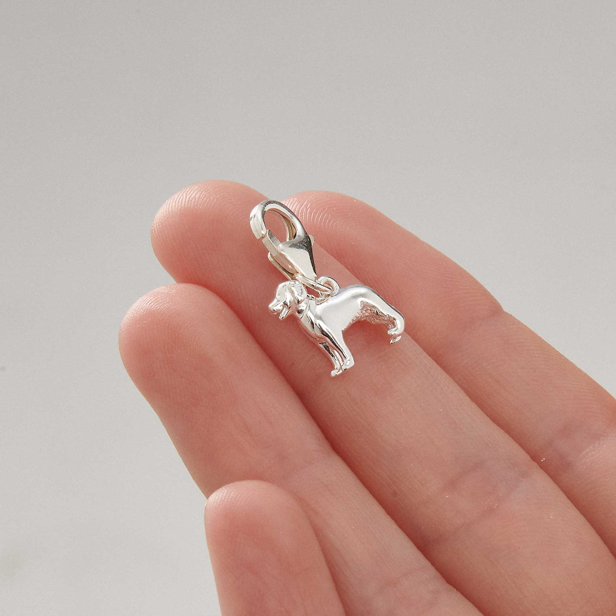 Golden Retriever Silver Dog Charm Scarlett Jewellery