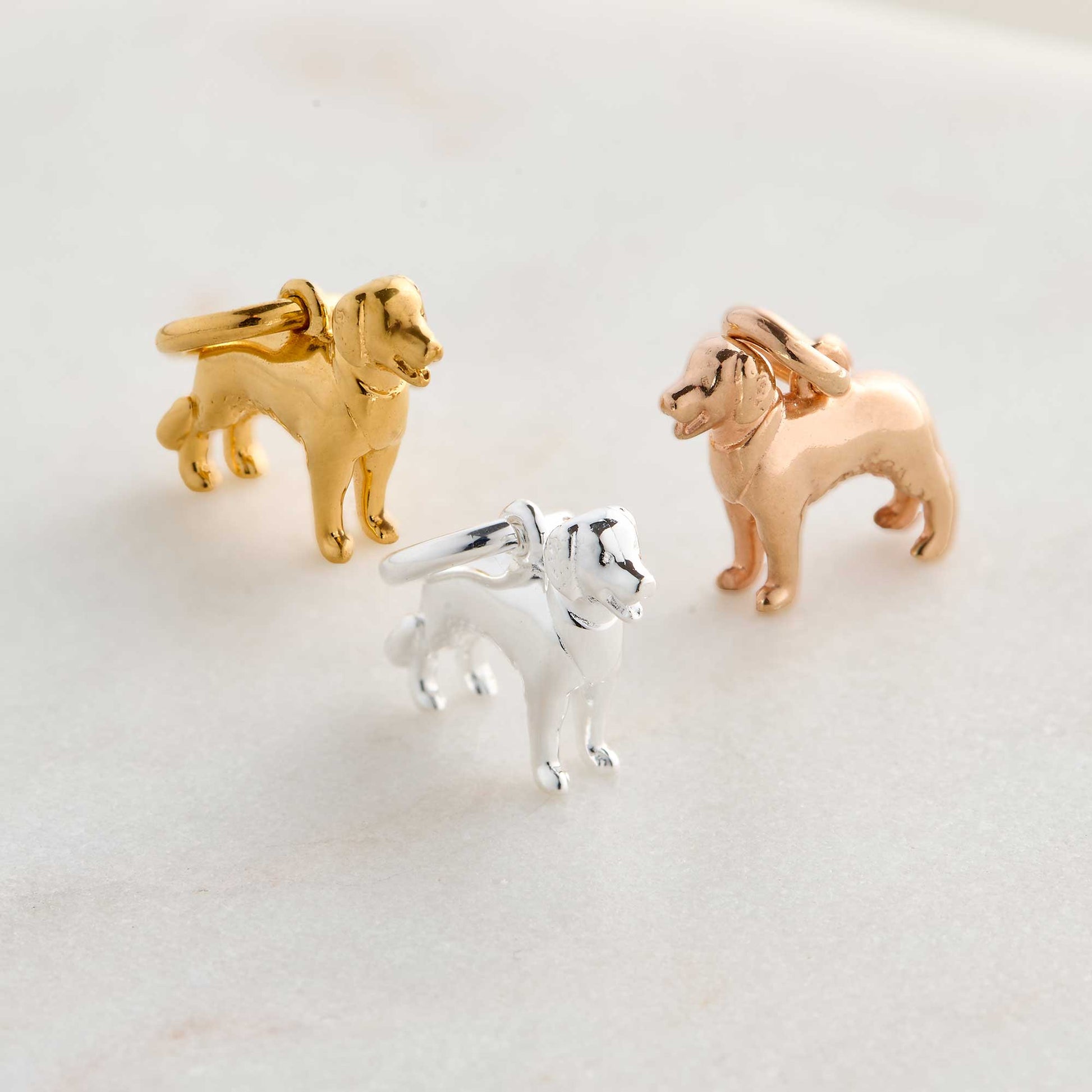 Golden Retriever Silver Dog Charm Scarlett Jewellery