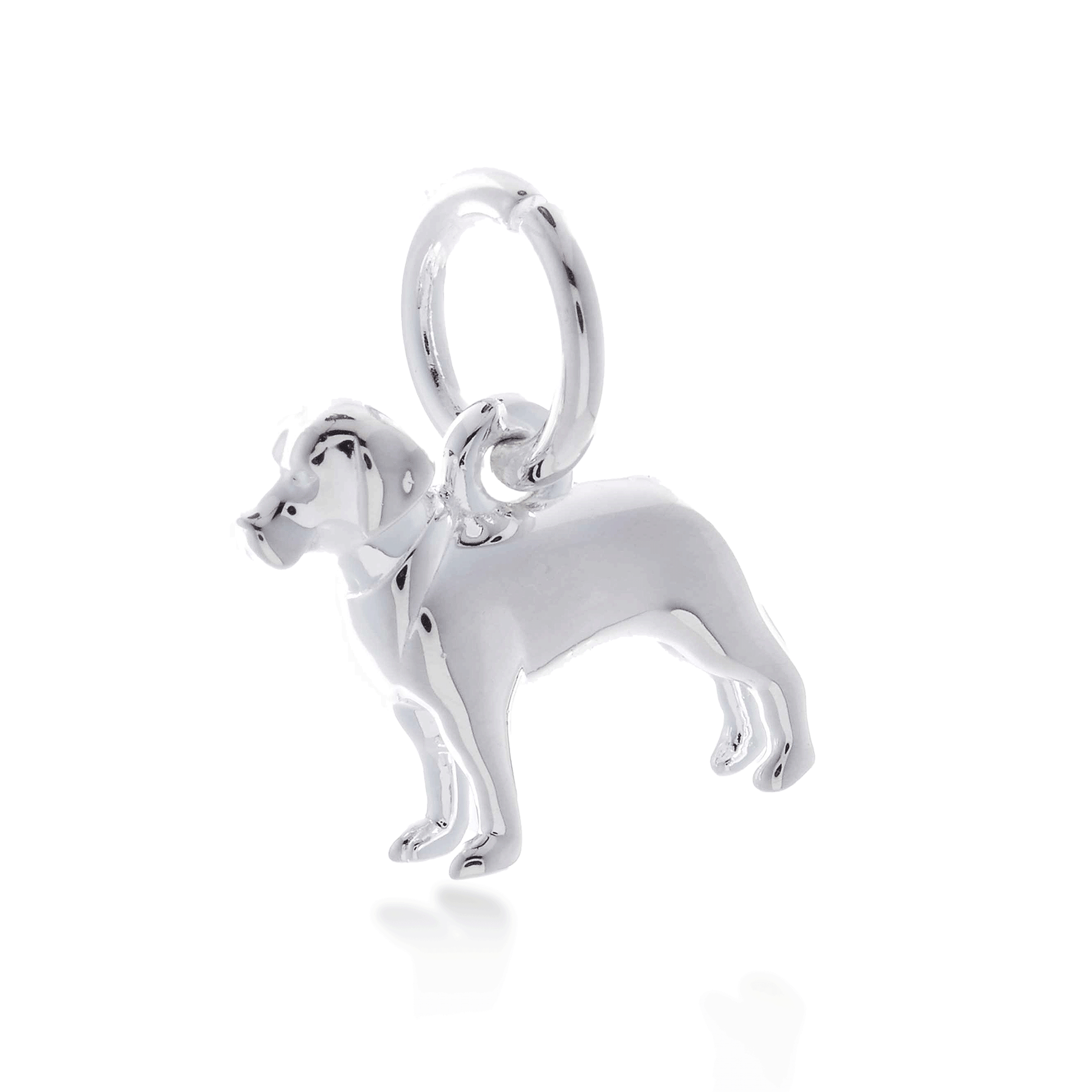 A silver Labrador dog charm shaped like a loyal companion, displayed on a soft blue background, by Scarlett Jewellery.