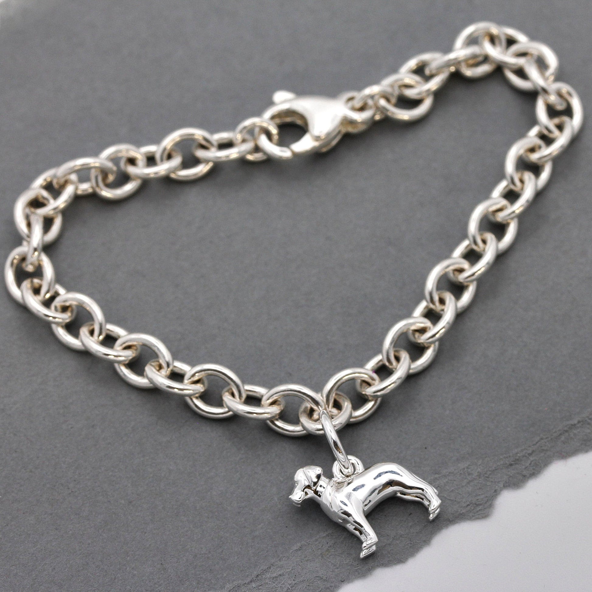 A silver Labrador dog charm with detailed texture, displayed on a soft blue background by Scarlett Jewellery.