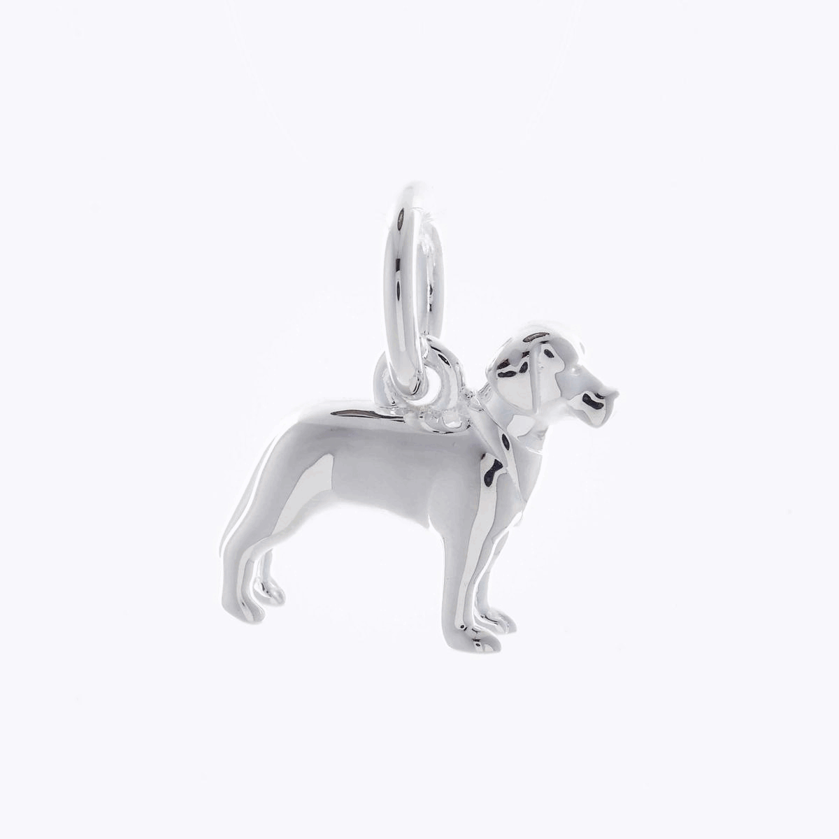 A silver Labrador dog charm with detailed texture, shown against a soft background, by Scarlett Jewellery.