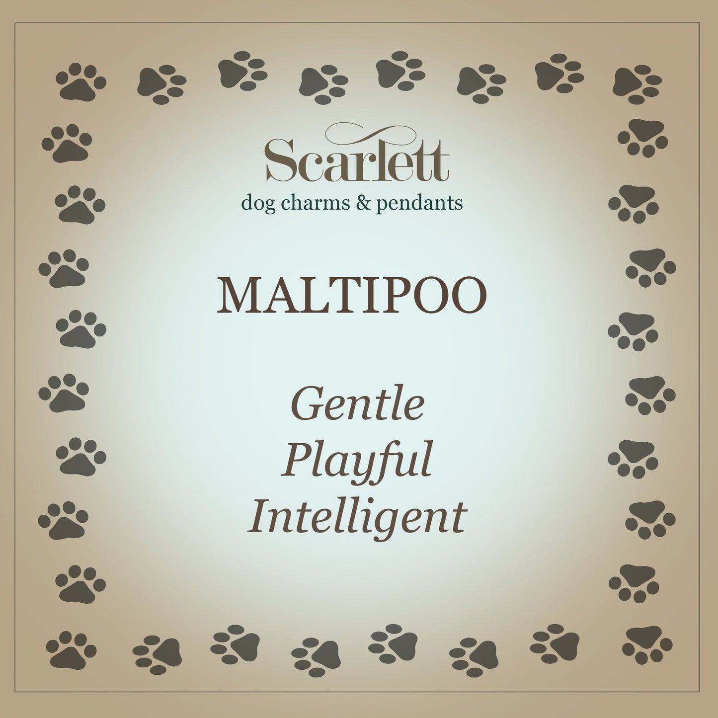 Silver Maltipoo dog charm bracelet by Scarlett Jewellery features a detailed silver charm of a Maltipoo dog on a delicate cha