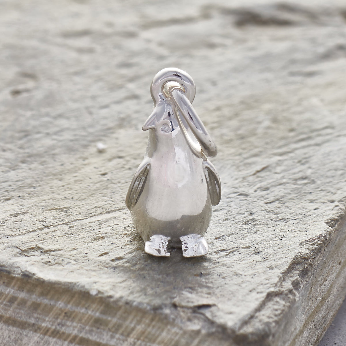 Penguin Silver Charm Scarlett Jewellery