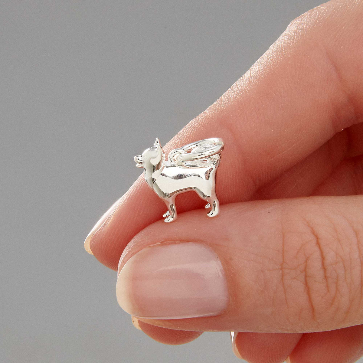 A silver pomsky dog charm with detailed facial features, displayed on a soft blue background by Scarlett Jewellery.