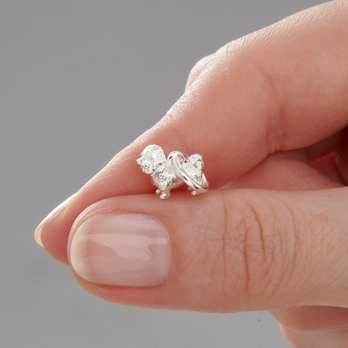 Shih Tzu Silver Dog Charm Scarlett Jewellery