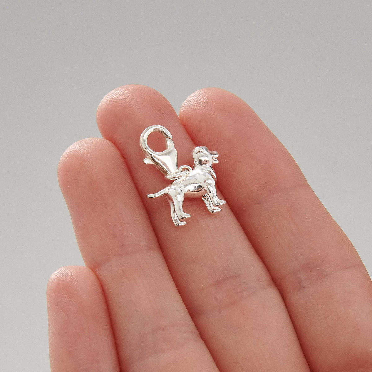 Silver Staffordshire Bull Terrier dog charm by Scarlett Jewellery displayed on a leather cord.
