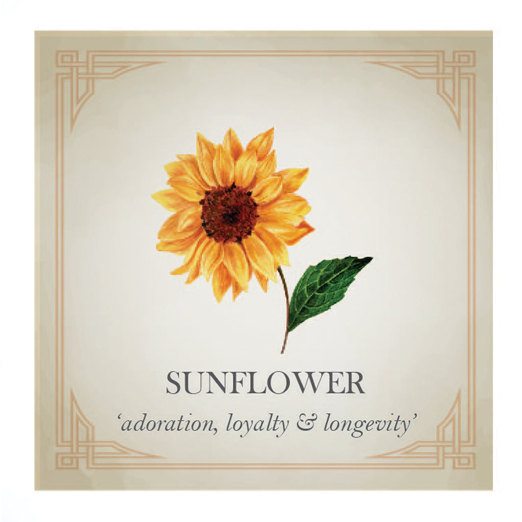 Sunflower Silver Stud Earrings Scarlett Jewellery