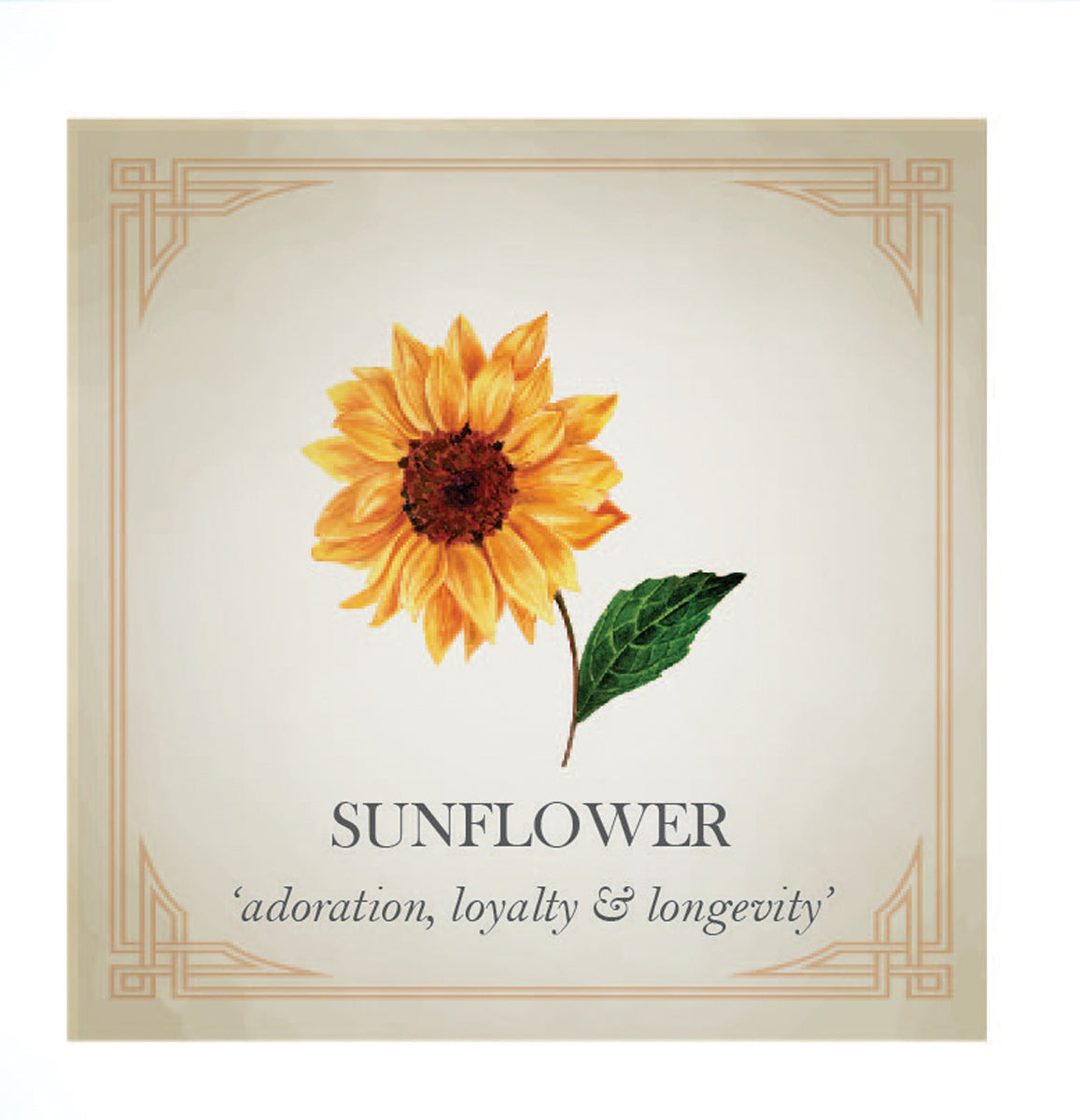 Sunflower Silver Charm Bracelet Scarlett Jewellery